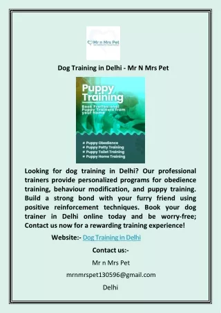 Dog Training in Delhi