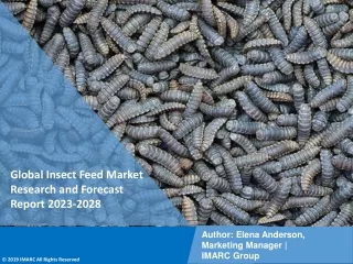 Insect Feed Market Research and Forecast Report 2023-2028