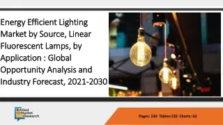 Energy Efficient Lighting Market