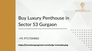 Buy Luxury Penthouse in Sector 53, Gurgaon - Tulip Monsella