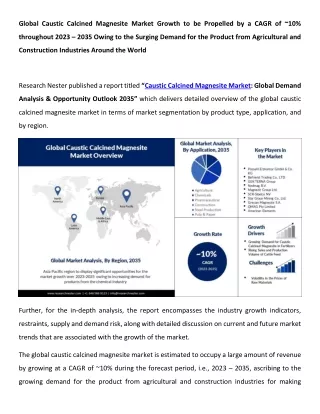 Caustic Calcined Magnesite Market Growth and Development, 2023-2035