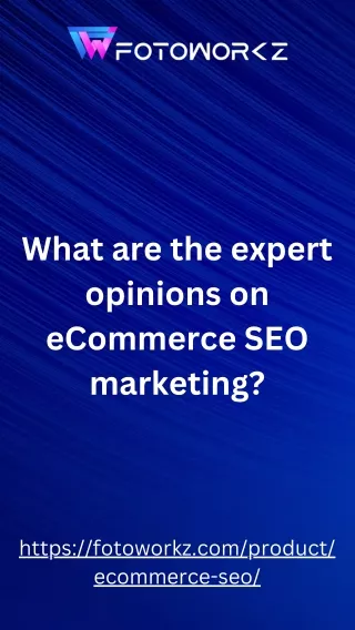 What are the expert opinions on eCommerce SEO marketing