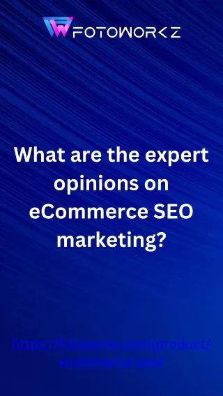 12.What are the expert opinions on eCommerce SEO marketing