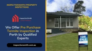 We Offer Pre Purchase Termite Inspection in Perth by Qualified Experts