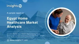 Egypt Home Healthcare Market Analysis Sample Report