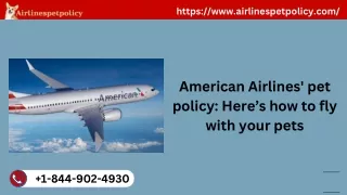 American Airlines Pet Policy