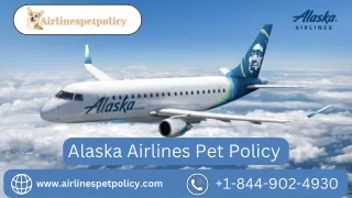 How do I add my dog to my flight in Alaska