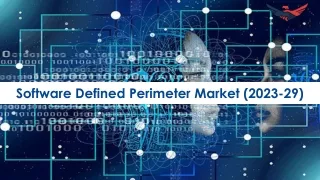 Software Defined Perimeter Market Outlook, Report Analysis 2023