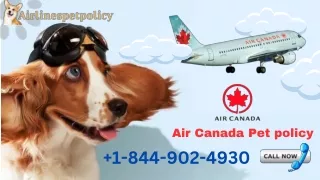 Air Canada Pet Policy