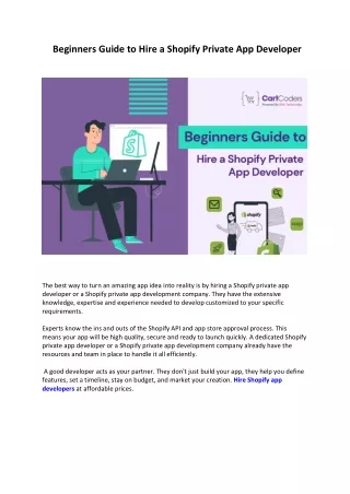 Beginners Guide to Hire a Shopify Private App Developer