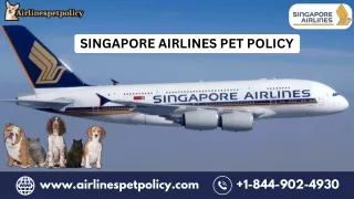 How To Fly With Your Pet On Singapore Airlines Pet Policy