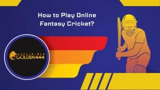 How to Play Online Fantasy Cricket