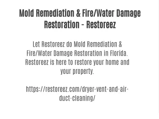 Mold Remediation & Fire/Water Damage Restoration - Restoreez