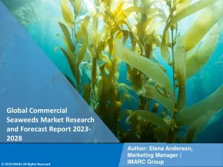 Commercial Seaweeds Market Research and Forecast Report 2023-2028