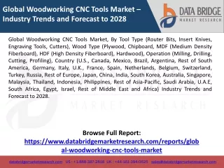 Global Woodworking CNC Tools Market