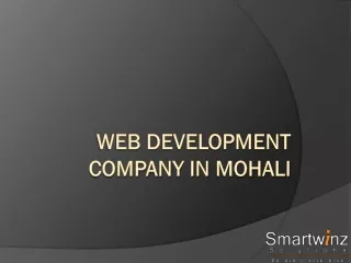 Web Development Company in Mohali