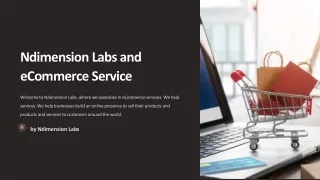 Ndimension Labs and eCommerce Service