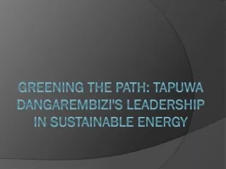 Greening the Path - Tapuwa Dangarembizi's Leadership in Sustainable Energy