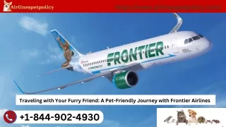 How To Fly With Your Pet On Frontier Airlines
