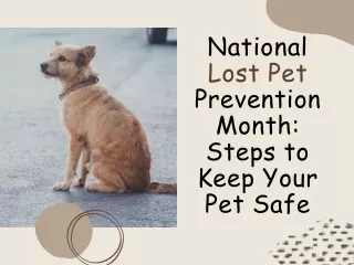 National Lost Pet Prevention Month Steps to Keep Your Pet Safe