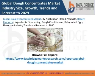 Global Dough Concentrates Market