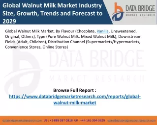 Global Walnut Milk Market