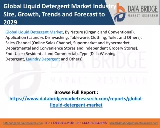 Global Liquid Detergent Market