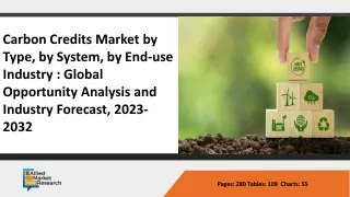 Carbon Credit Market