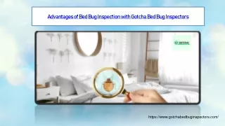 Advantages of Bed Bug Inspection with Gotcha Bed Bug Inspectors
