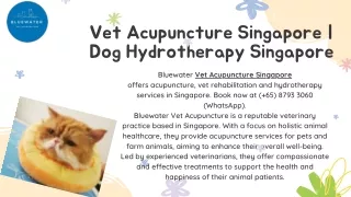 Dog Acupuncture Singapore