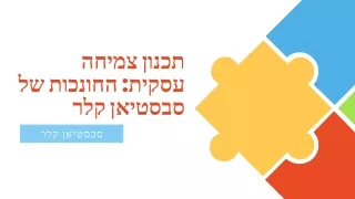 אסטרטגיות הרחבה: החונכות של סבסטיאן קלר לעסקים מתרחבים