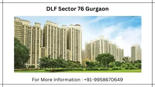 DLF Sector 76 Gurgaon New Launch, DLF Sector 76 Gurgaon Location Map, 9958670649