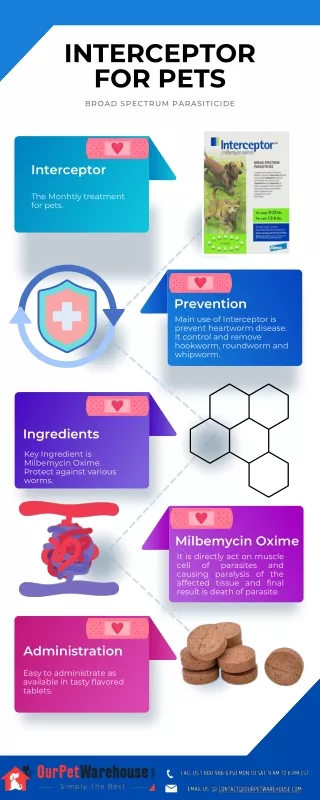 How Interceptor Work?