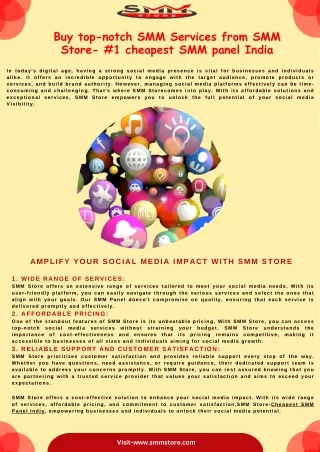 Buy top-notch SMM Services from SMM Store- #1 cheapest SMM panel India