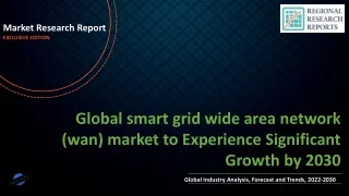 smart grid wide area network (wan) market to Experience Significant Growth by 2030