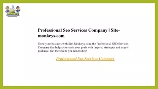 Professional Seo Services Company  Site-monkeys.com