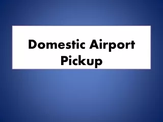 Domestic Airport Pickup