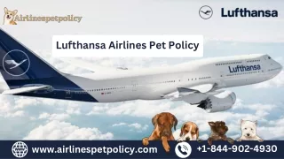 Lufthansa Airlines Pet Policy