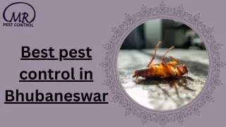 Best pest control in Bhubaneswar (1)