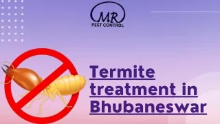 Termite treatment in Bhubaneswar (1)