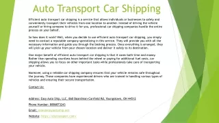 Auto Transport Car Shipping