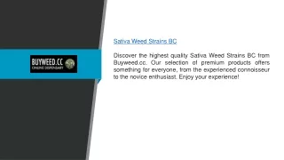 Sativa Weed Strains Bc | Buyweed.cc