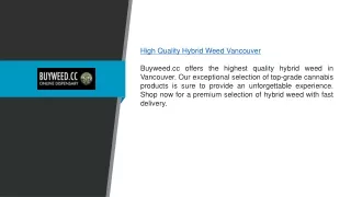 High Quality Hybrid Weed Vancouver | Buyweed.cc