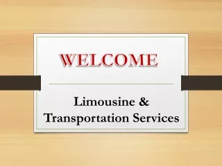 Limousine & Transportation Services