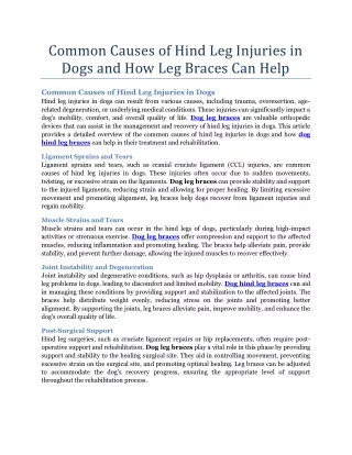 Common Causes of Hind Leg Injuries in Dogs and How Leg Braces Can Help