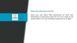 Black Pearl Mushroom Grow Kit | Shroombox.co