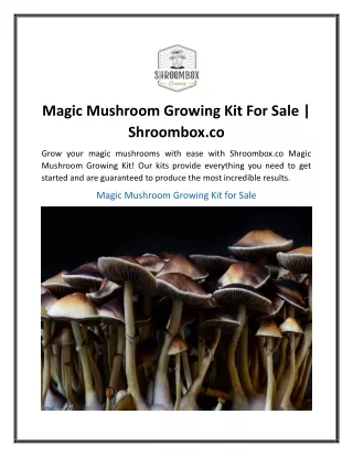 Magic Mushroom Growing Kit For Sale Shroombox.co.