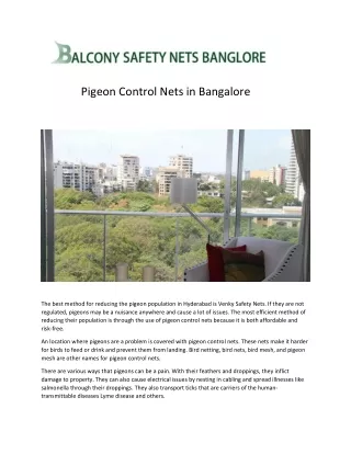 Pigeon Control Nets in Bangalore