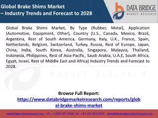 Global Brake Shims Market