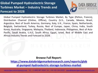 Global Pumped Hydroelectric Storage Turbines Market